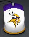 Minnesota Vikings - 3000 Ft